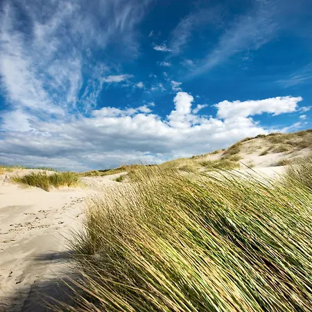 Alte Schmiede - Whg 5 Appartamento Juist